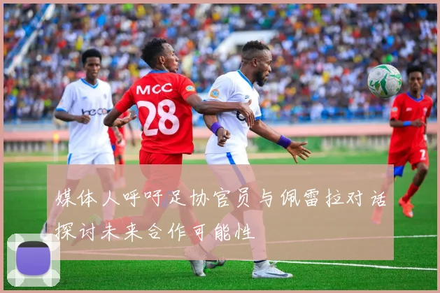 媒体人呼吁足协官员与佩雷拉对话探讨未来合作可能性