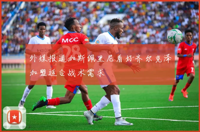 外媒报道加斯佩里尼看好齐尔克泽加盟适合战术需求