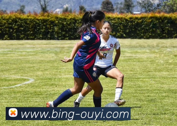 欧亿体育APP 封面图